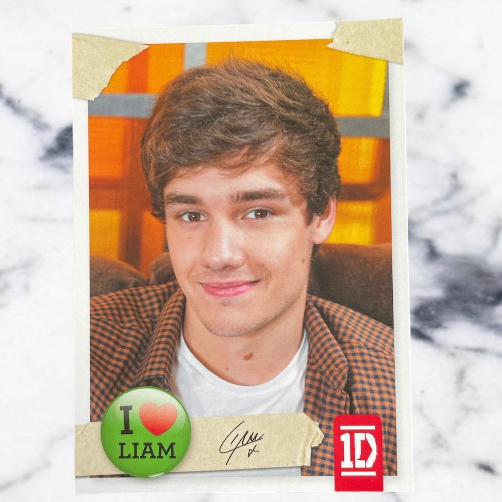 Liam Payne One Direction Official Trading Card #23 Panini Brand 2013